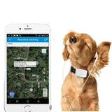 Coleira com Rastreador GPS